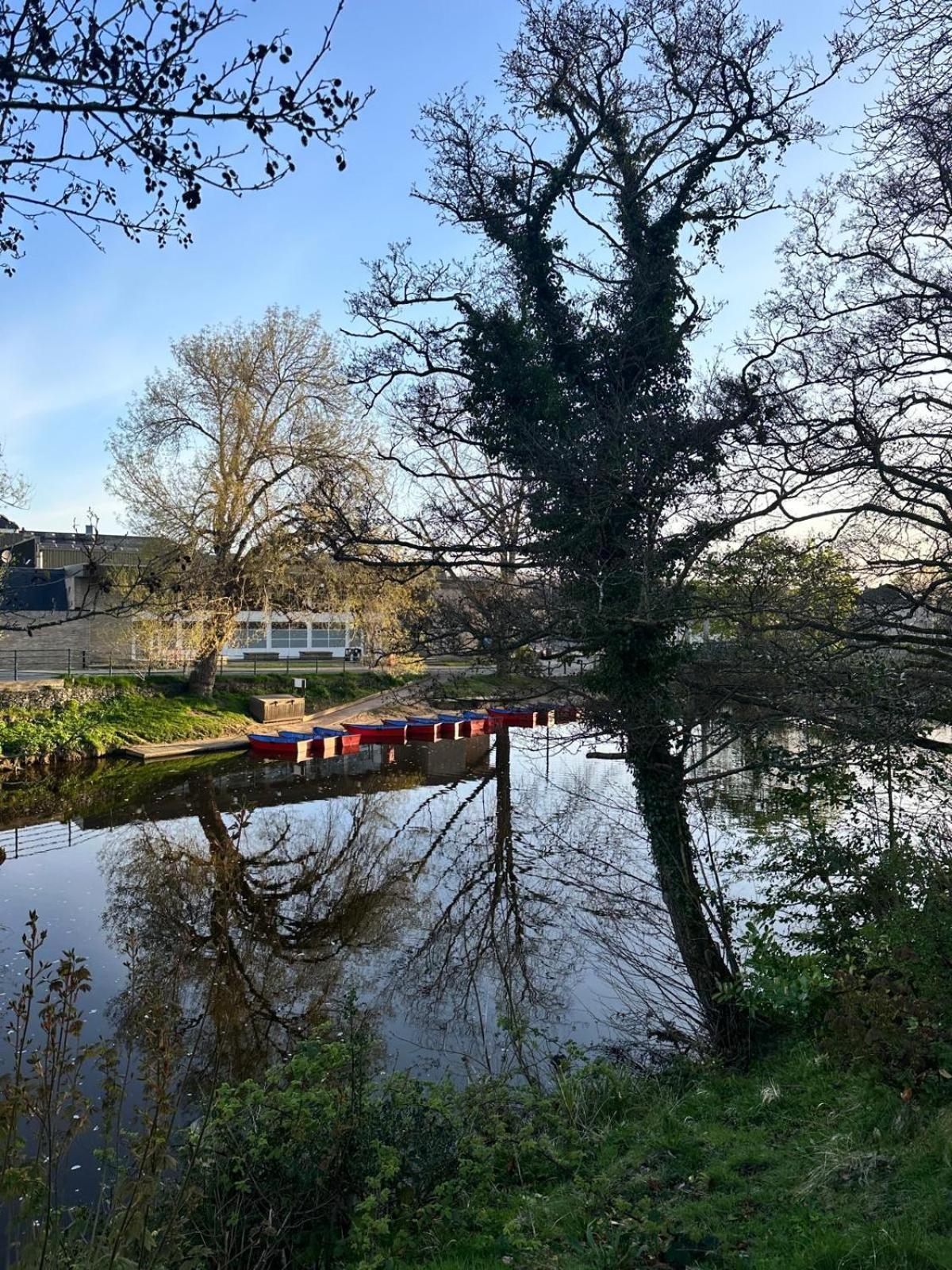 The Secret Cottage - Morpeth Exterior foto